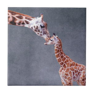 Carreau Mère des images   de Getty et girafe de bébé