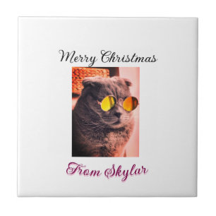 Carreau Merveilleux chien de chat de Noël animal de compag