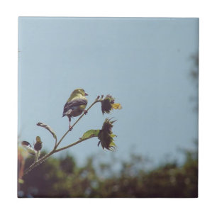 Carreau Mes amis les petits visiteurs. #oiseau #nature #fa