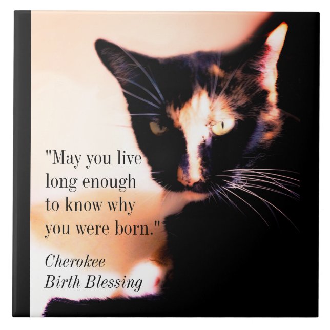 Carreau Messenger Cat (Devant)