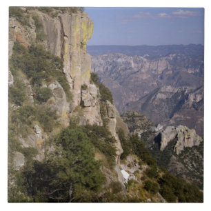 Carreau Mexique, État de Chihuahua, Copper Canyon. CECI 2