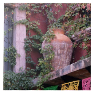 Carreau Mexique, San Miguel de Allende, Lierre, pot en ter