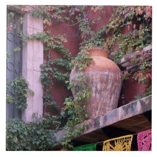 Carreau Mexique, San Miguel de Allende, Lierre, pot en ter (Devant)