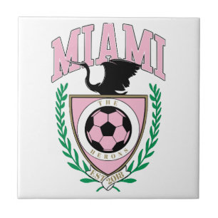 Carreau Miami Soccer de style universitaire
