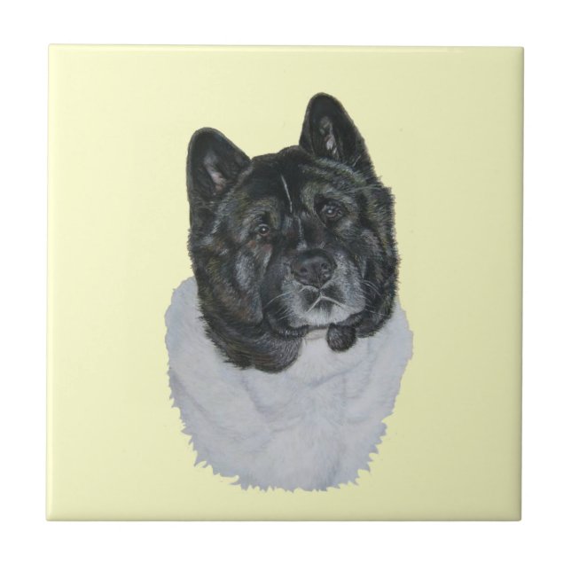 Carreau mignon noir à tête américaine type akita chien (Devant)