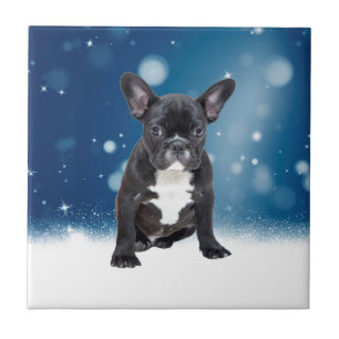 Carreau Mignonne French Bulldog Etoiles de neige Bleu Noël
