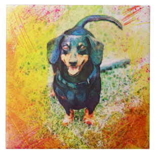 Carreau Mignonne Happy Dachshund Tête de chien visage