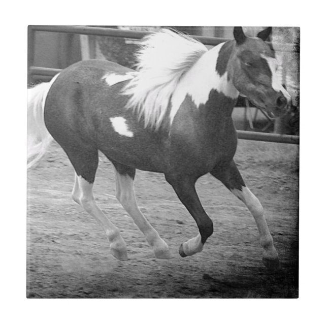 Carreau Mini Horse Gallops (Devant)