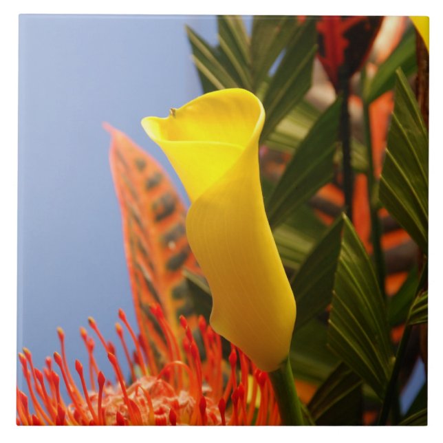 Carreau mini zantedeschia jaune (Devant)