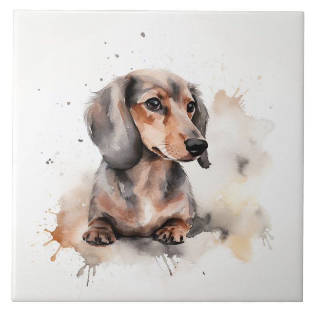 Carreau Miniature Dachshund Chien Aquarelle animal (Devant)