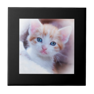 Carreau Minimalist Modern Black Border Photo