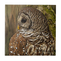 Mme hibou barré