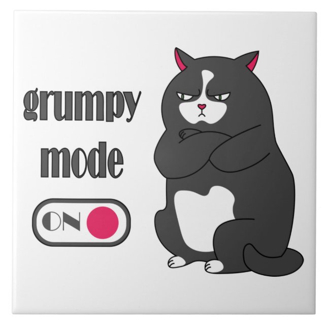 Carreau Mode grumeux sur drôle de gros chat (Devant)
