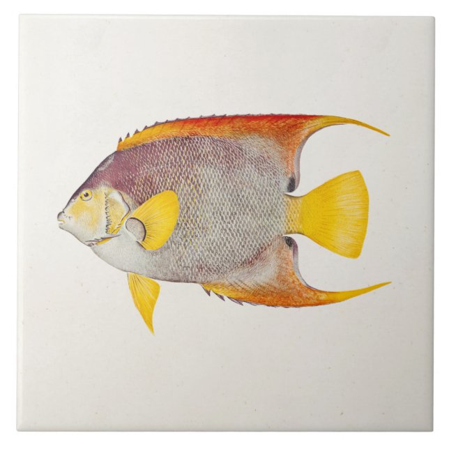 Carreau Modèle hawaïen d'impression d'ange d'antiquité (Devant)