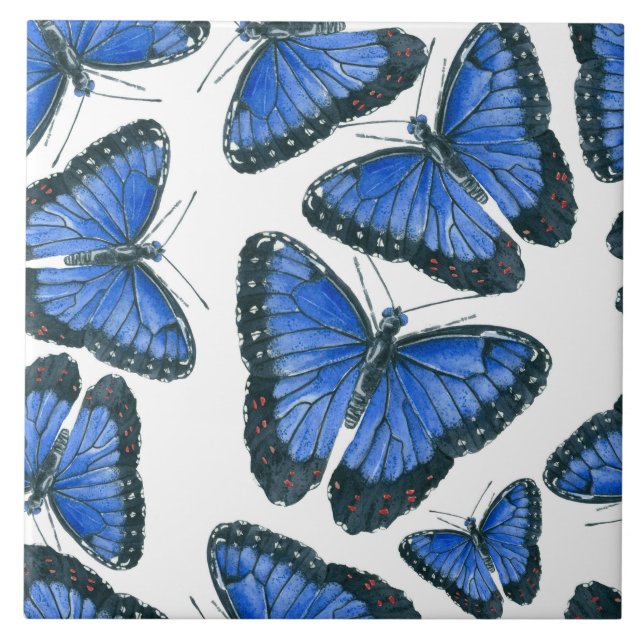 Carreau Modèle motif de papillon bleu morpho (Devant)