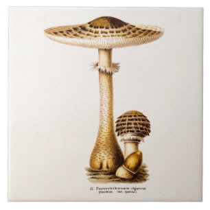 Carreau Modèle vintage de champignons d'Agricus de