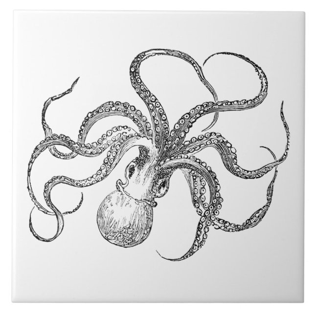 Carreau Modèle vintage de poulpe (Devant)