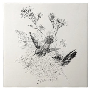 Carreau Modèle vintage d'oiseaux d'antiquité de colibri