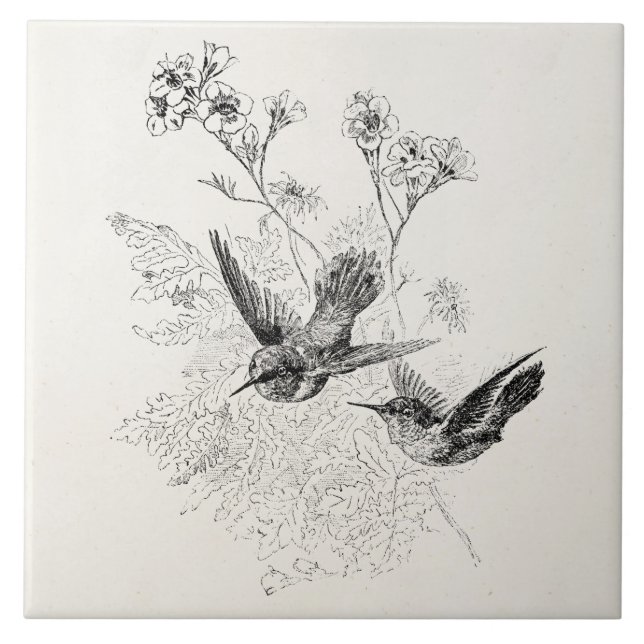 Carreau Modèle vintage d'oiseaux d'antiquité de colibri (Devant)