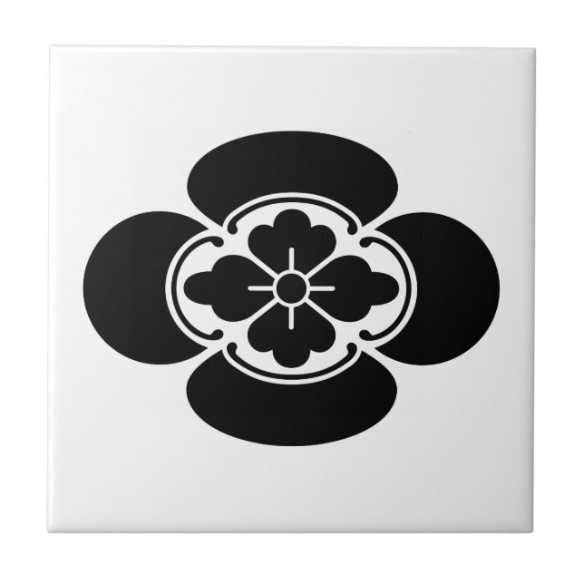 Carreau Mokko (Devant)