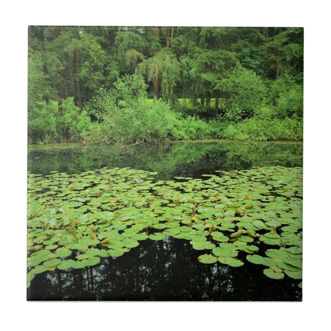 Carreau Molalla River State Park Canby, Oregon (Devant)