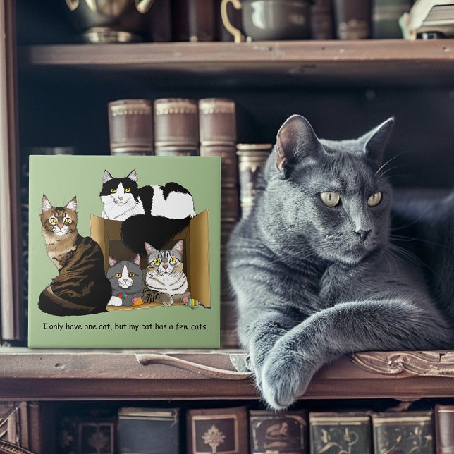 Carreau Mon chat a des chats (Créateur téléchargé)