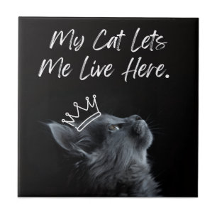 Carreau Mon chat me laisse vivre ici