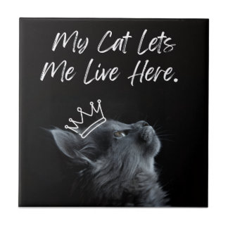 Carreau Mon chat me laisse vivre ici