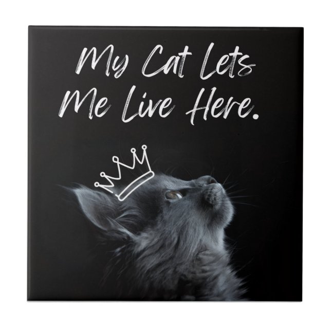 Carreau Mon chat me laisse vivre ici (Devant)