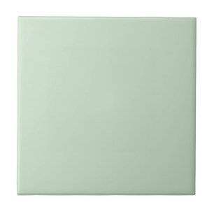 Carreau Monnaie Pastel Vert Solide Couleur SW 6736