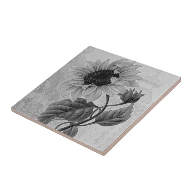 Carreau Monochrome de Helianthus de tournesol (Côté)