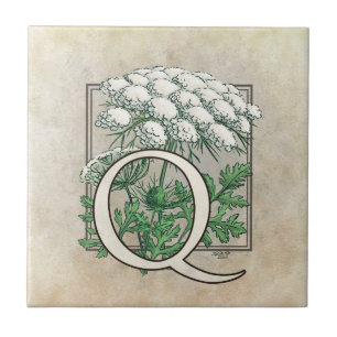 Carreau Monogramme floral à dentelle de la reine Anne