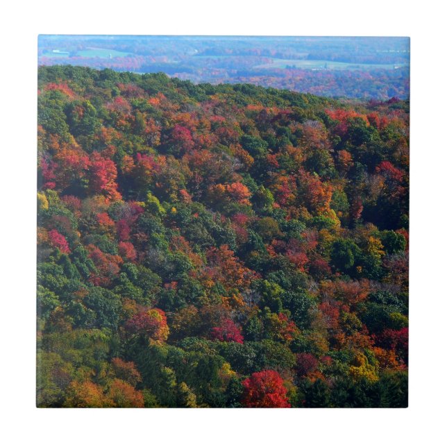 Carreau Montagnes Appalaches en automne (Devant)