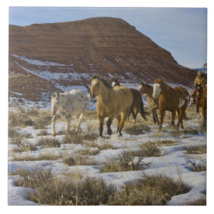 Carreau Montagnes Big Horn, Chevaux courant dans la neige