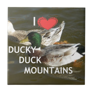 Carreau Montagnes de canard Ducky.
