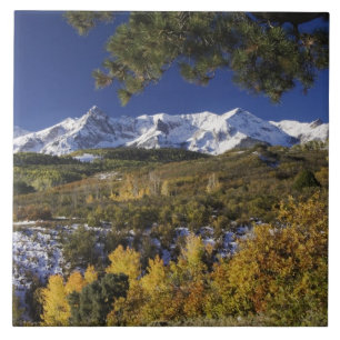 Carreau Montagnes de San Juan et arbres trembles en couleu