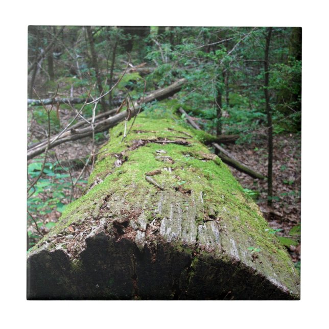 Carreau Montagnes fumeuses (Devant)