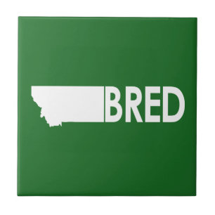 Carreau Montana Bred