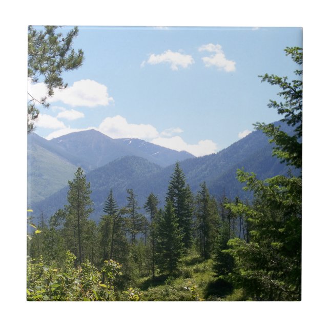 Carreau Montana Forest and Mountains Scenic View (Devant)