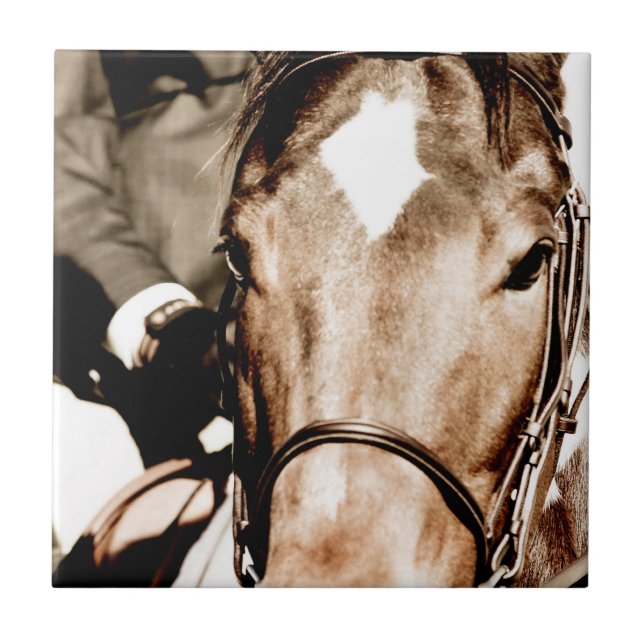 Carreau Montrez le cheval (Devant)