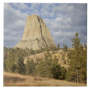 Carreau Monument national de Devils Tower