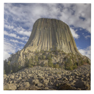 Carreau Monument national de Devils Tower
