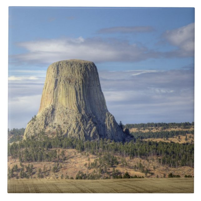 Carreau Monument national de Devils Tower (Devant)