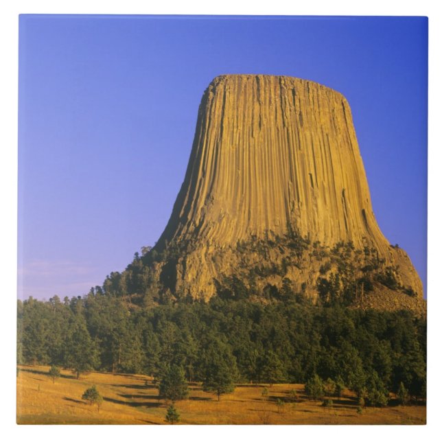 Carreau Monument national de Devils Tower dans le Wyoming (Devant)