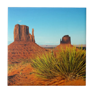 Carreau Monument Valley, Arizona