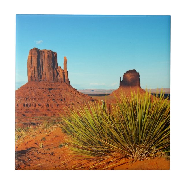 Carreau Monument Valley, Arizona (Devant)
