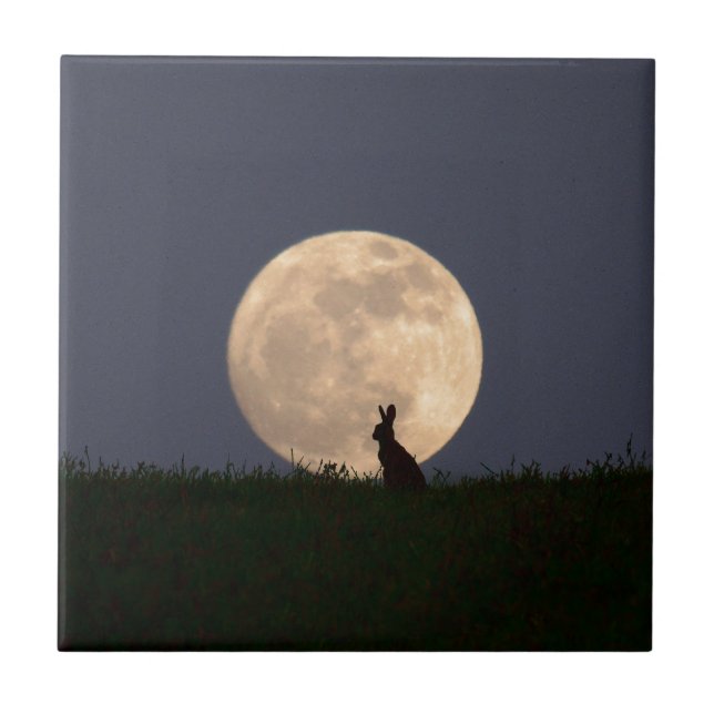 Carreau Moongazer.JPG (Devant)