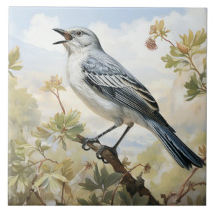 Carreau Moqueur polyglotte, Oiseau chanteur