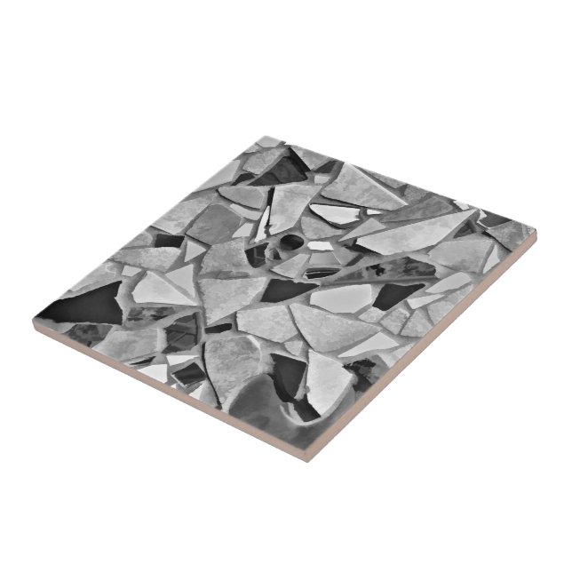 Carreau Mosaic Terrazzo Gris Blanc Noir Motif (Côté)