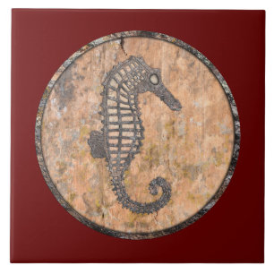 Carreau Moss Rock Sea Horse Talking Canyons, Nouveau-Mexiq